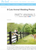 SWP_TheKnot_FarmAnimals1 SWP_TheKnot_FarmAnimals1